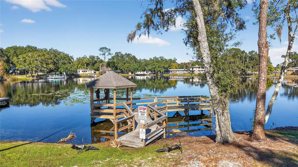 2825 Hardenbergh Lane Eustis FL 32726