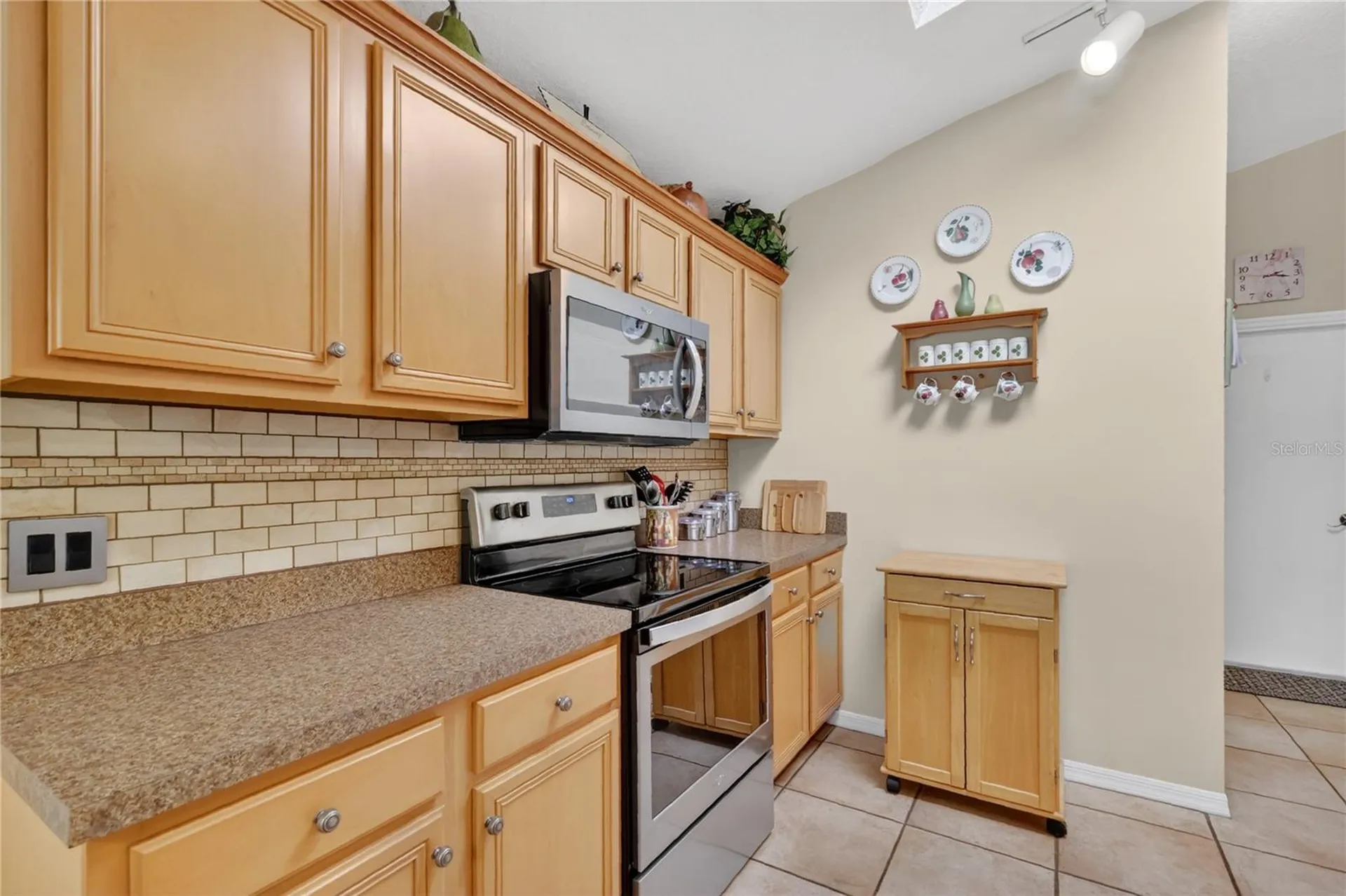 2825 Hardenbergh Lane Eustis FL 32726