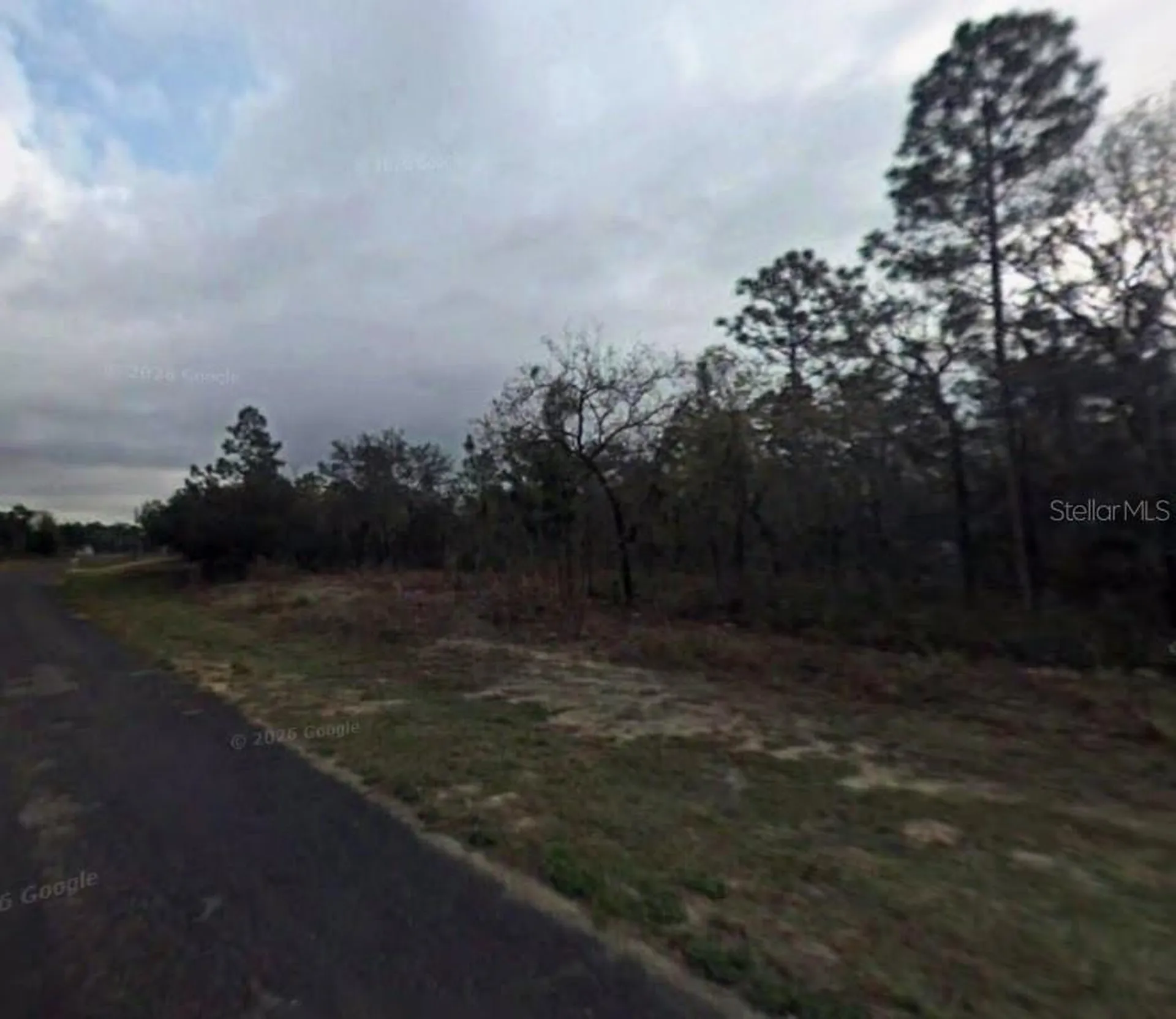 9075 N Marcus Way Citrus Springs FL 34433