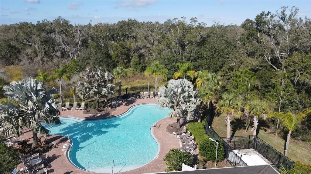 35571 Doveland Drive Zephyrhills FL 33541