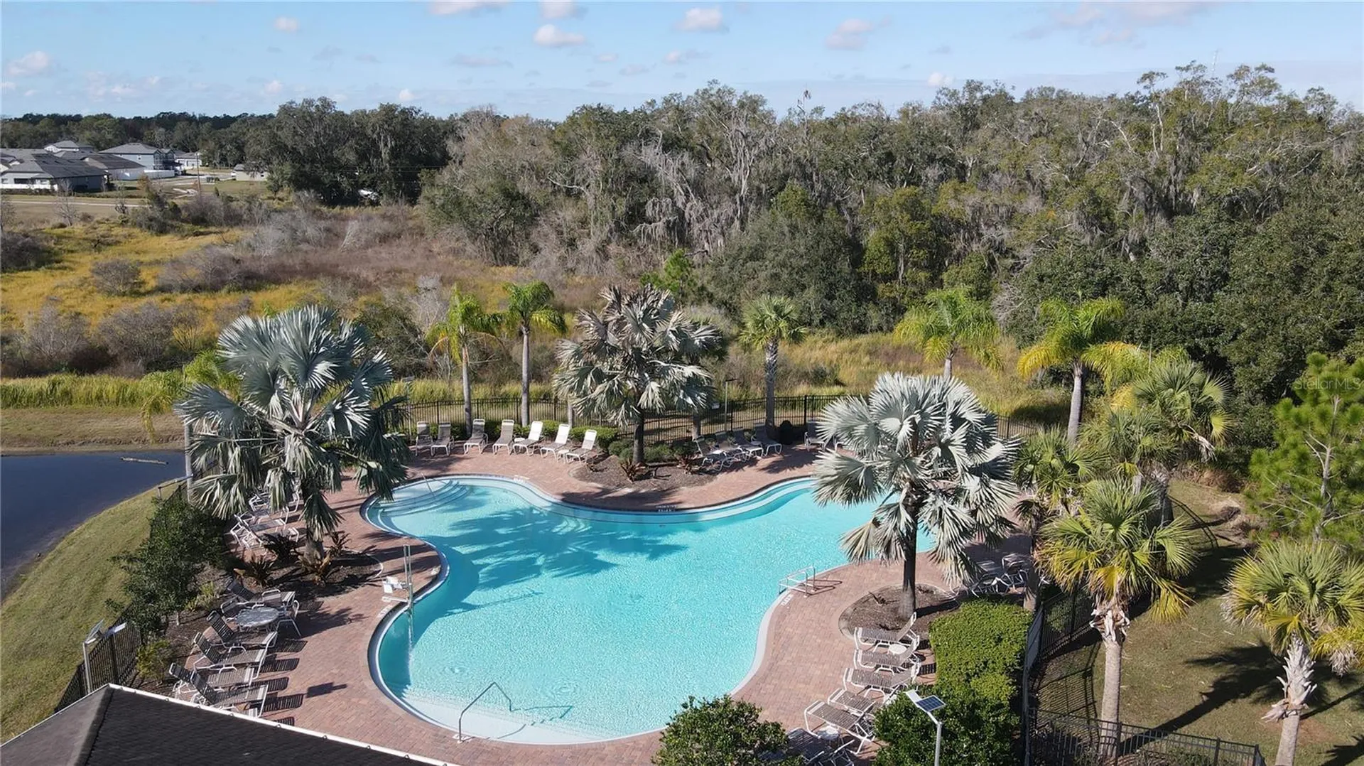 35571 Doveland Drive Zephyrhills FL 33541