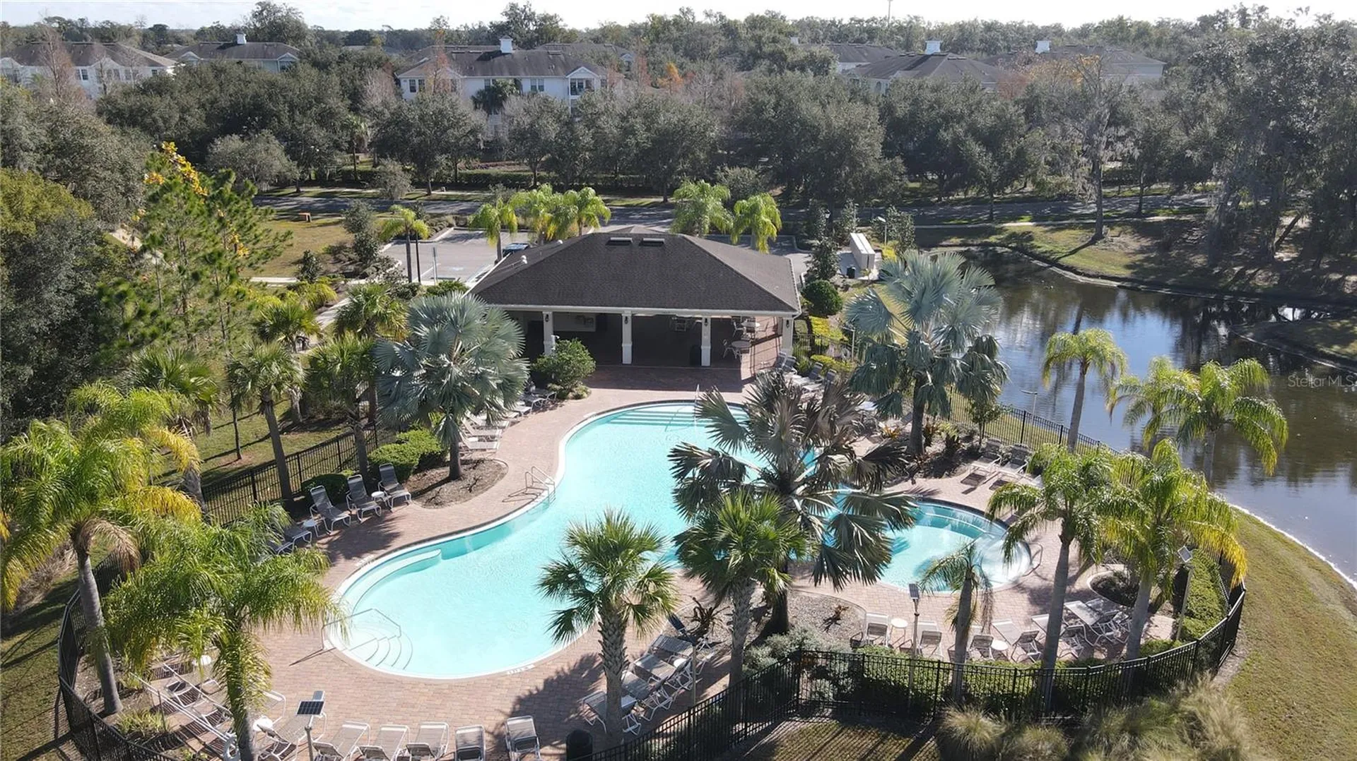 35571 Doveland Drive Zephyrhills FL 33541