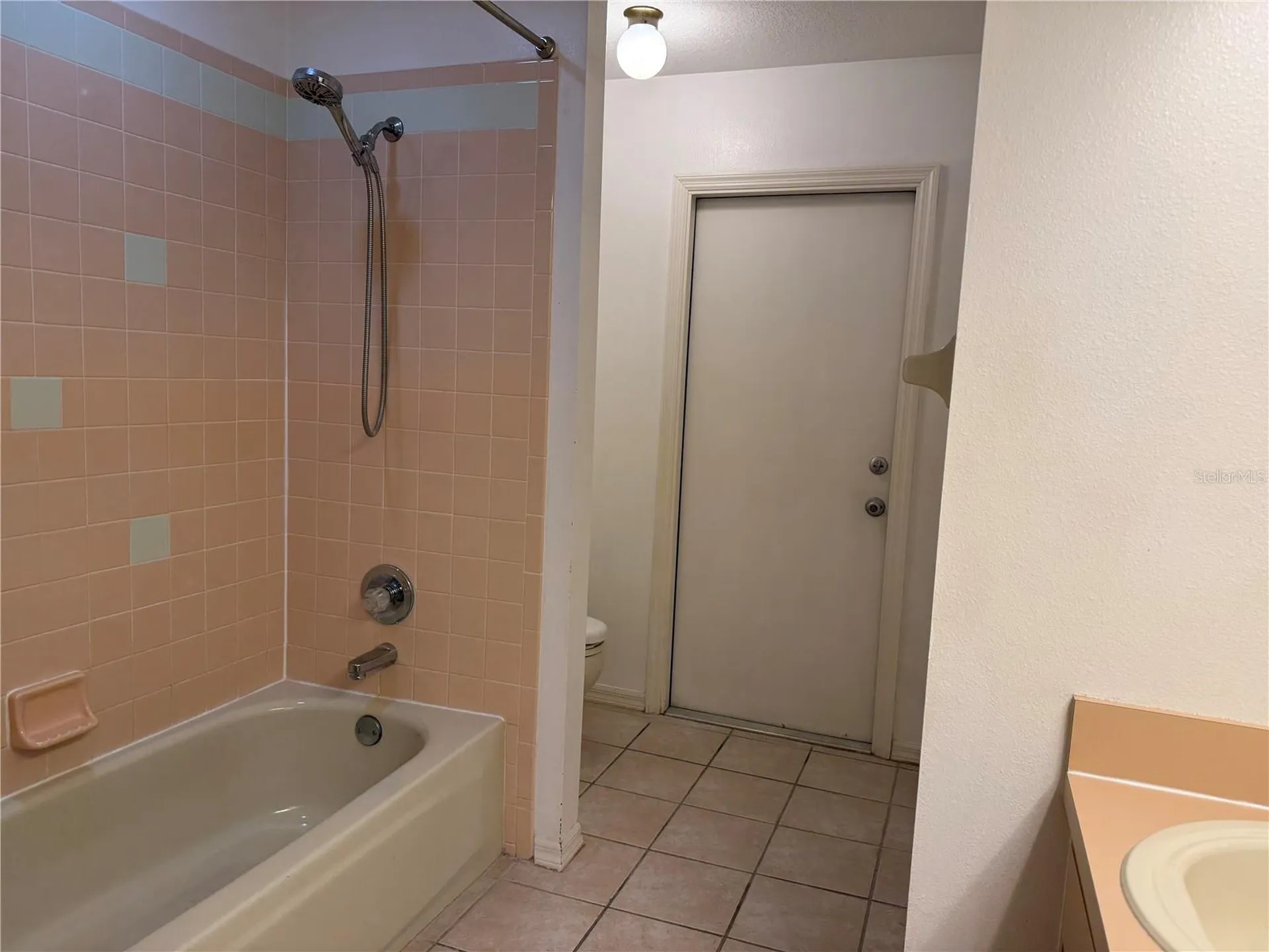 18230 Dolly Brook Lane Lutz FL 33549