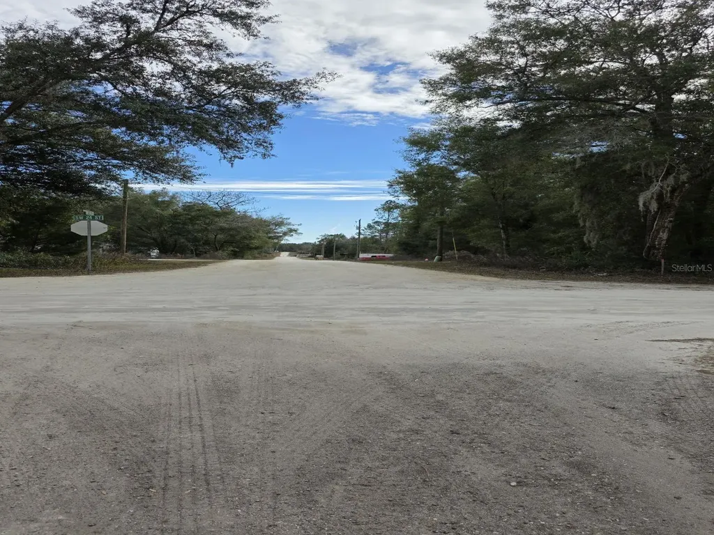 SW 141st Court Ocala FL 34481