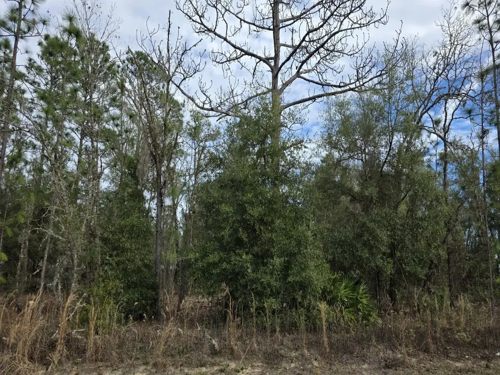 SW 141st Court Ocala FL 34481
