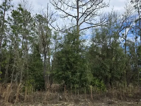 SW 141st Court Ocala FL 34481