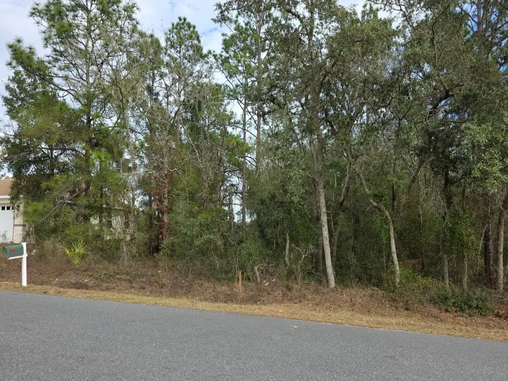 SW 140th Court Ocala FL 34481