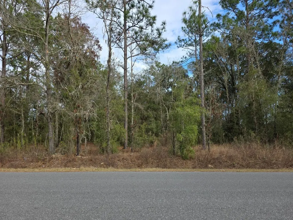 SW 140th Court Ocala FL 34481