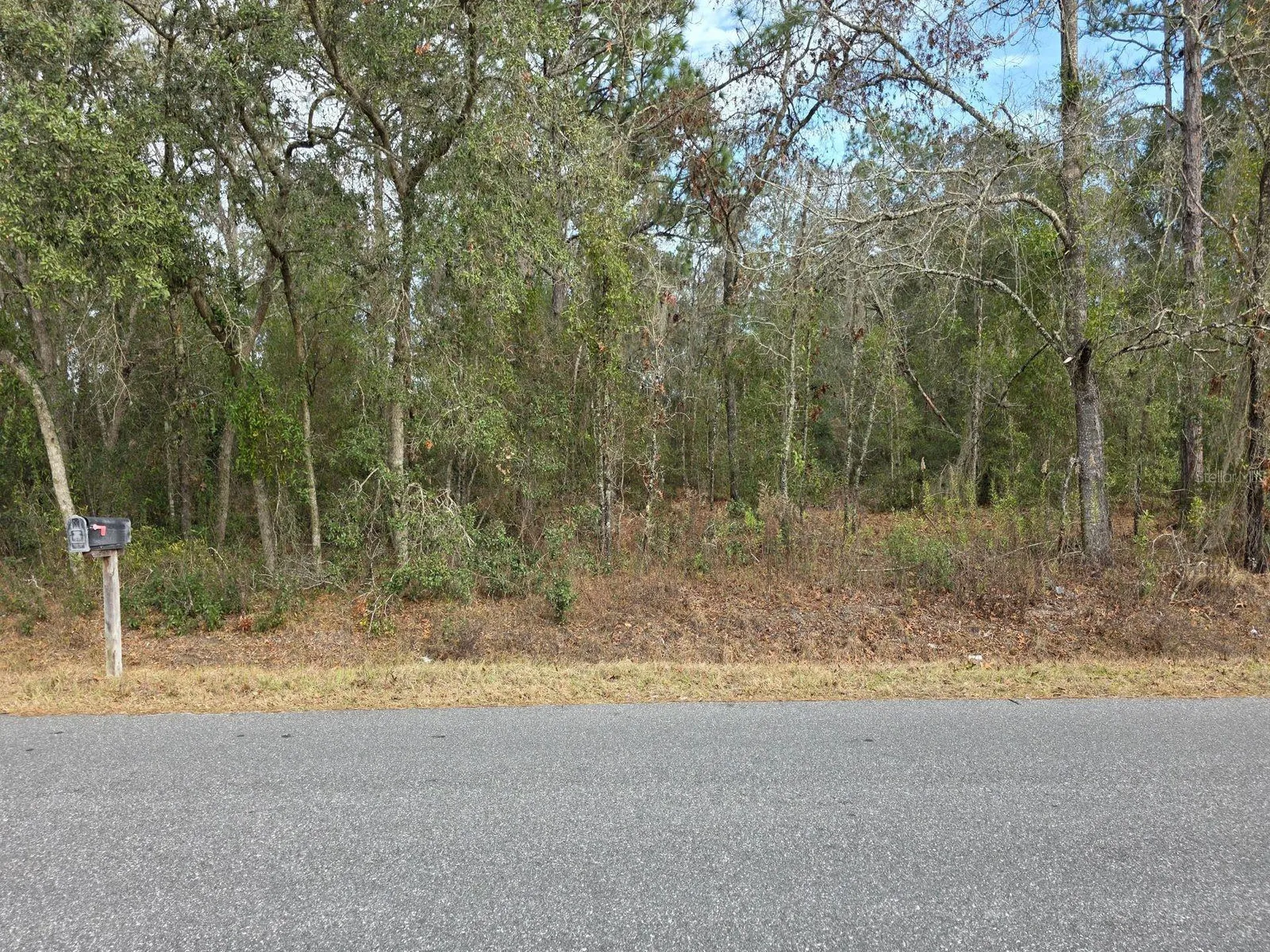 SW 140th Court Ocala FL 34481