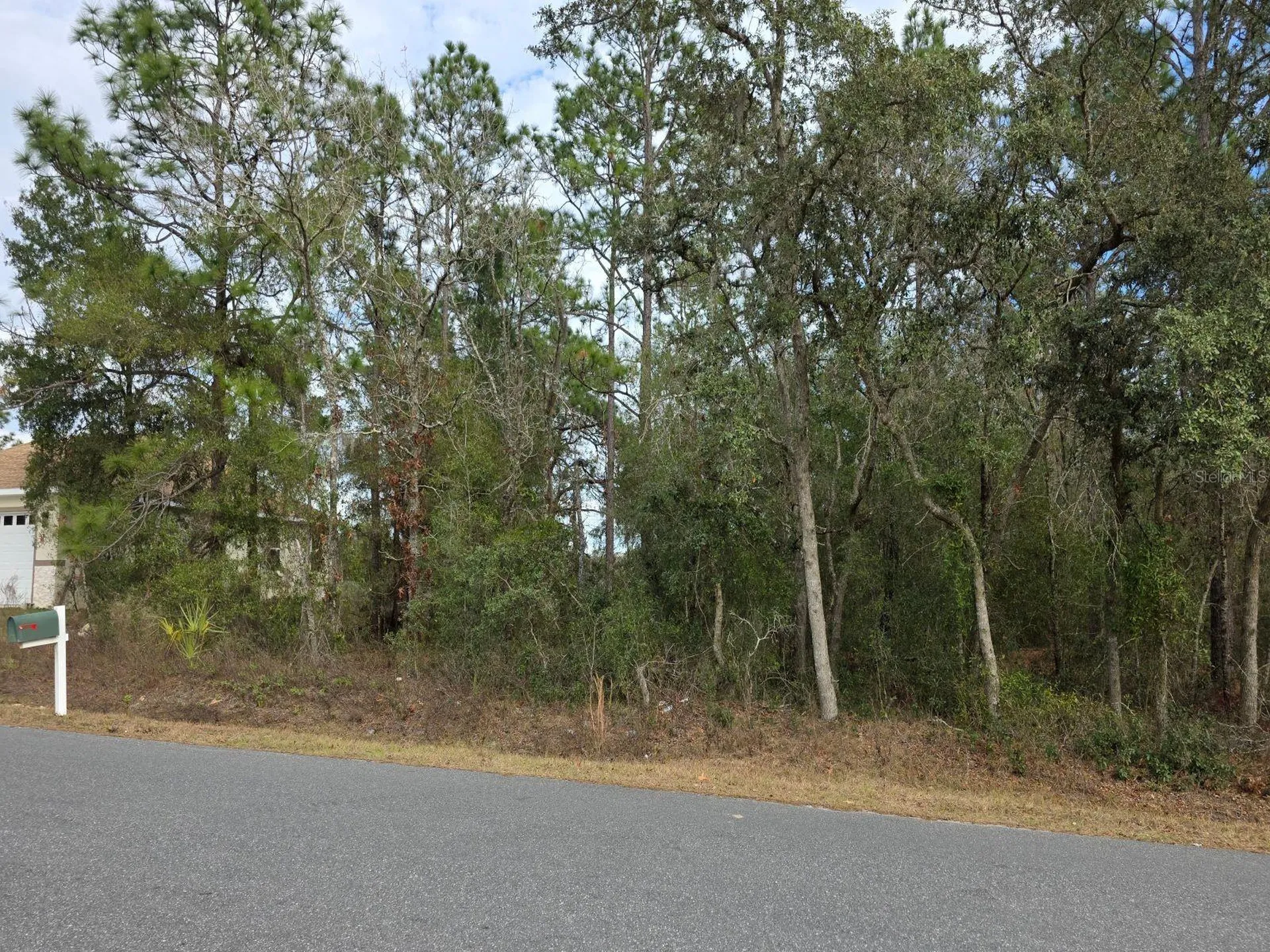 SW 140th Court Ocala FL 34481