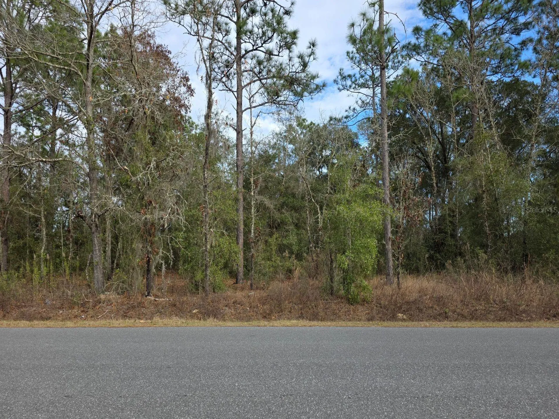 SW 140th Court Ocala FL 34481