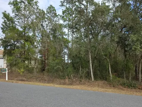 SW 140th Court Ocala FL 34481