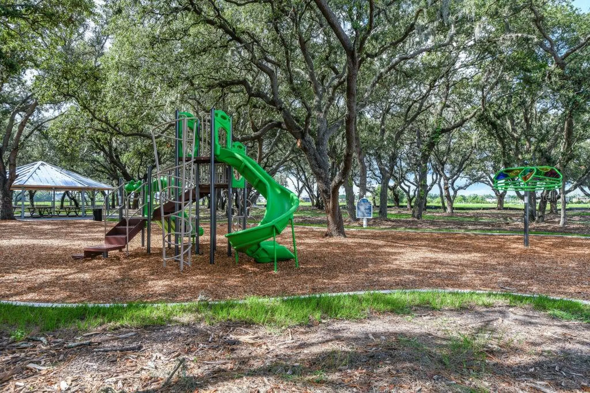 12934 Satin Lily Drive Riverview FL 33579