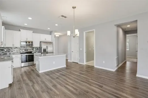 12934 Satin Lily Drive Riverview FL 33579