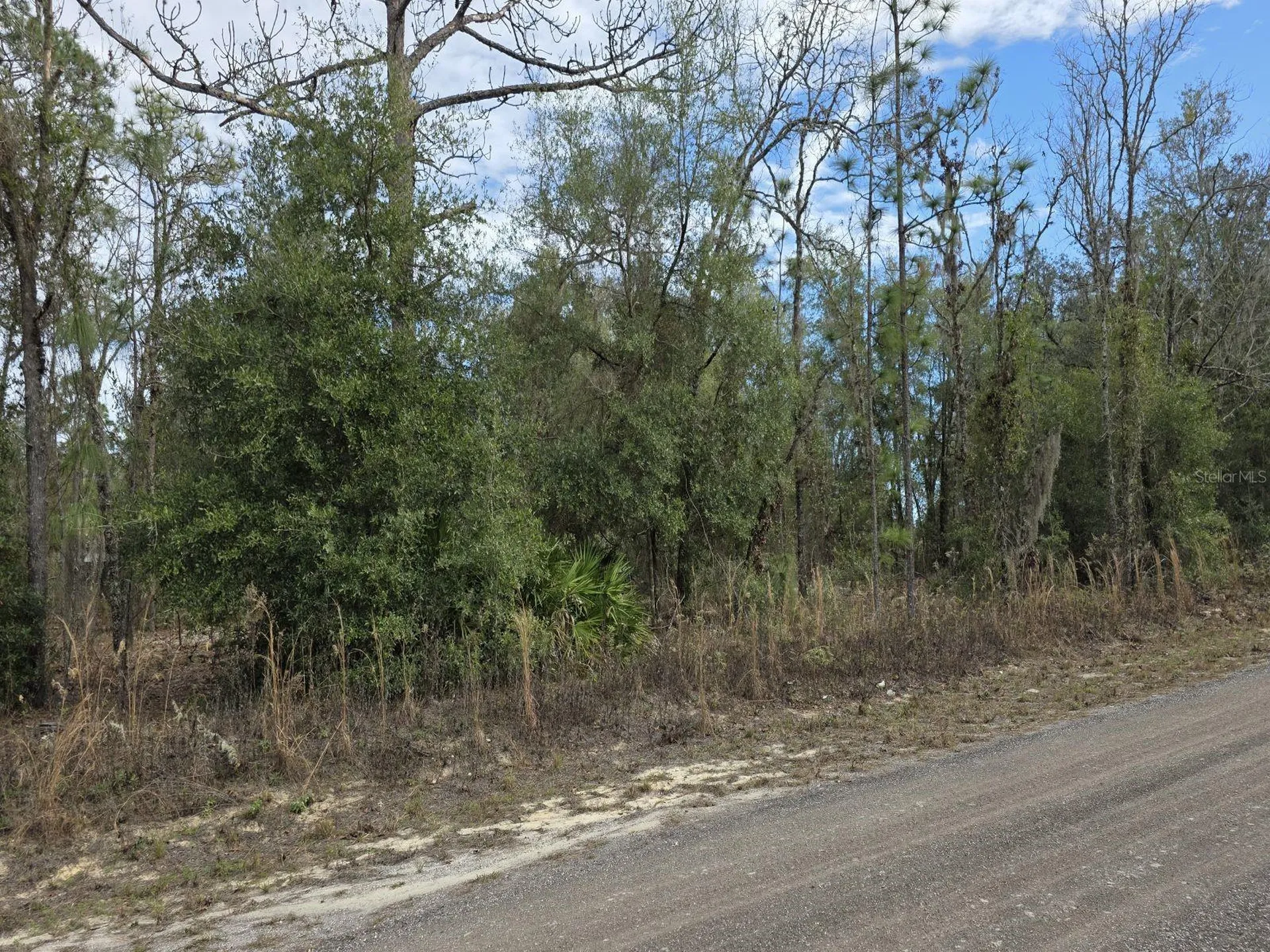SW 141st Court Ocala FL 34481