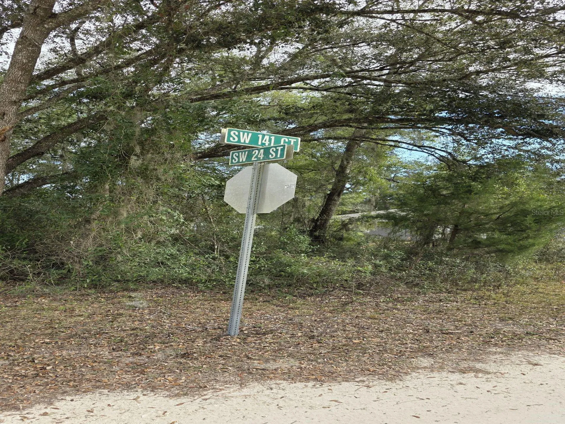 SW 141st Court Ocala FL 34481