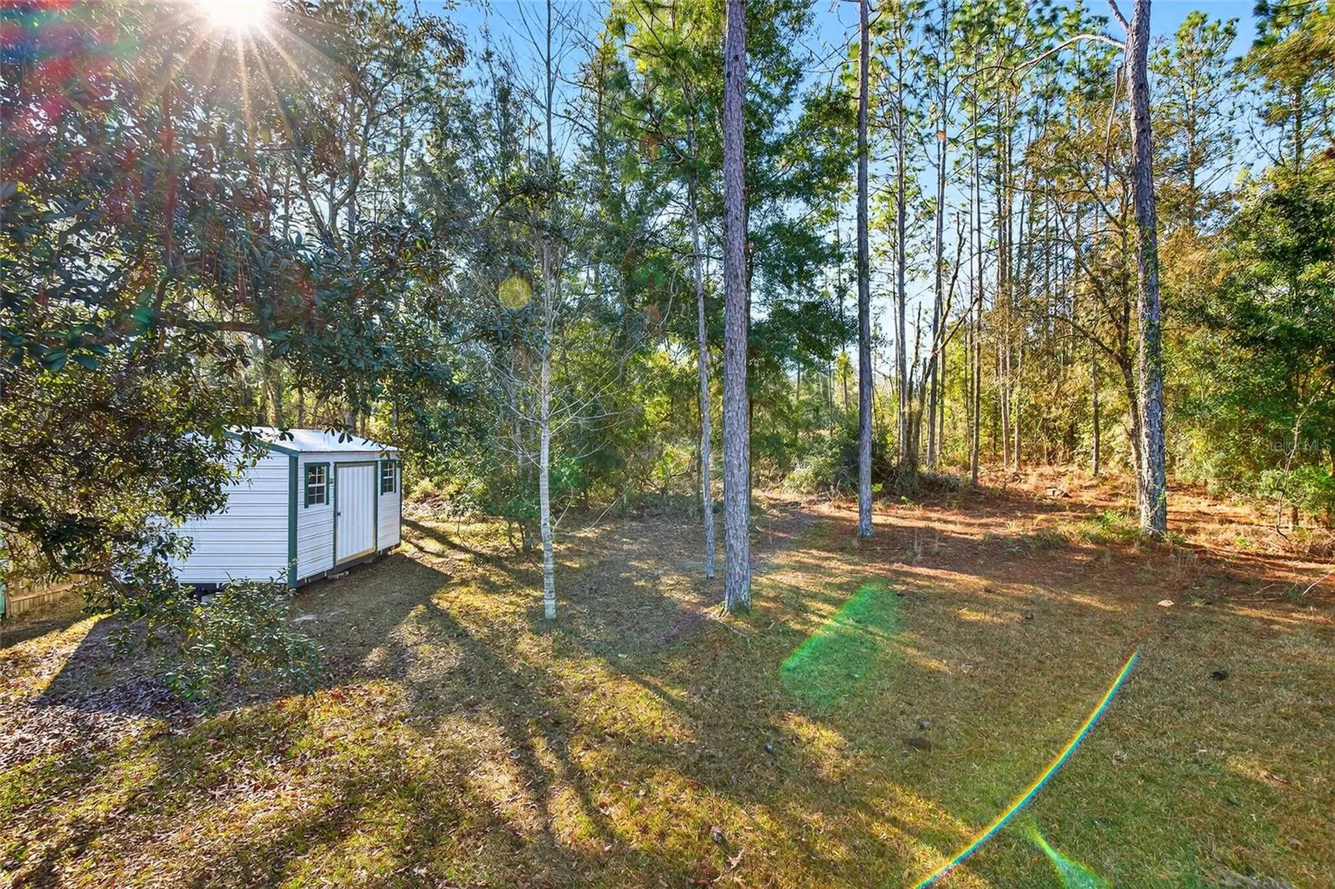15050 NE 16th Place Williston FL 32696