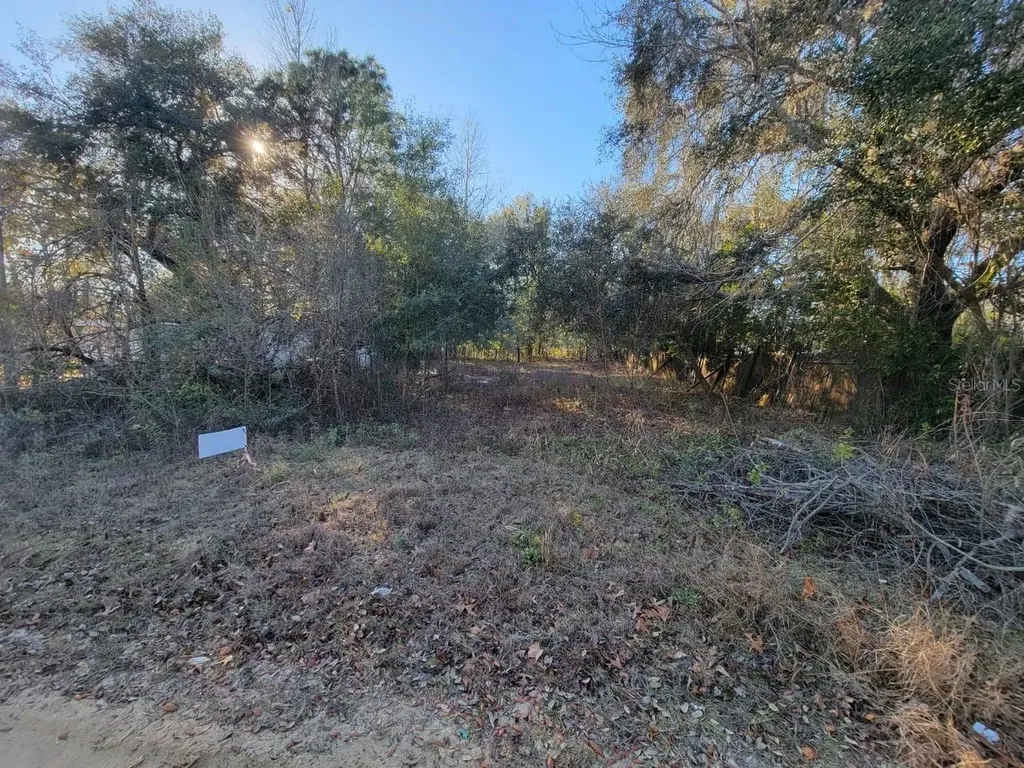 107 Lakeview Way Interlachen FL 32148