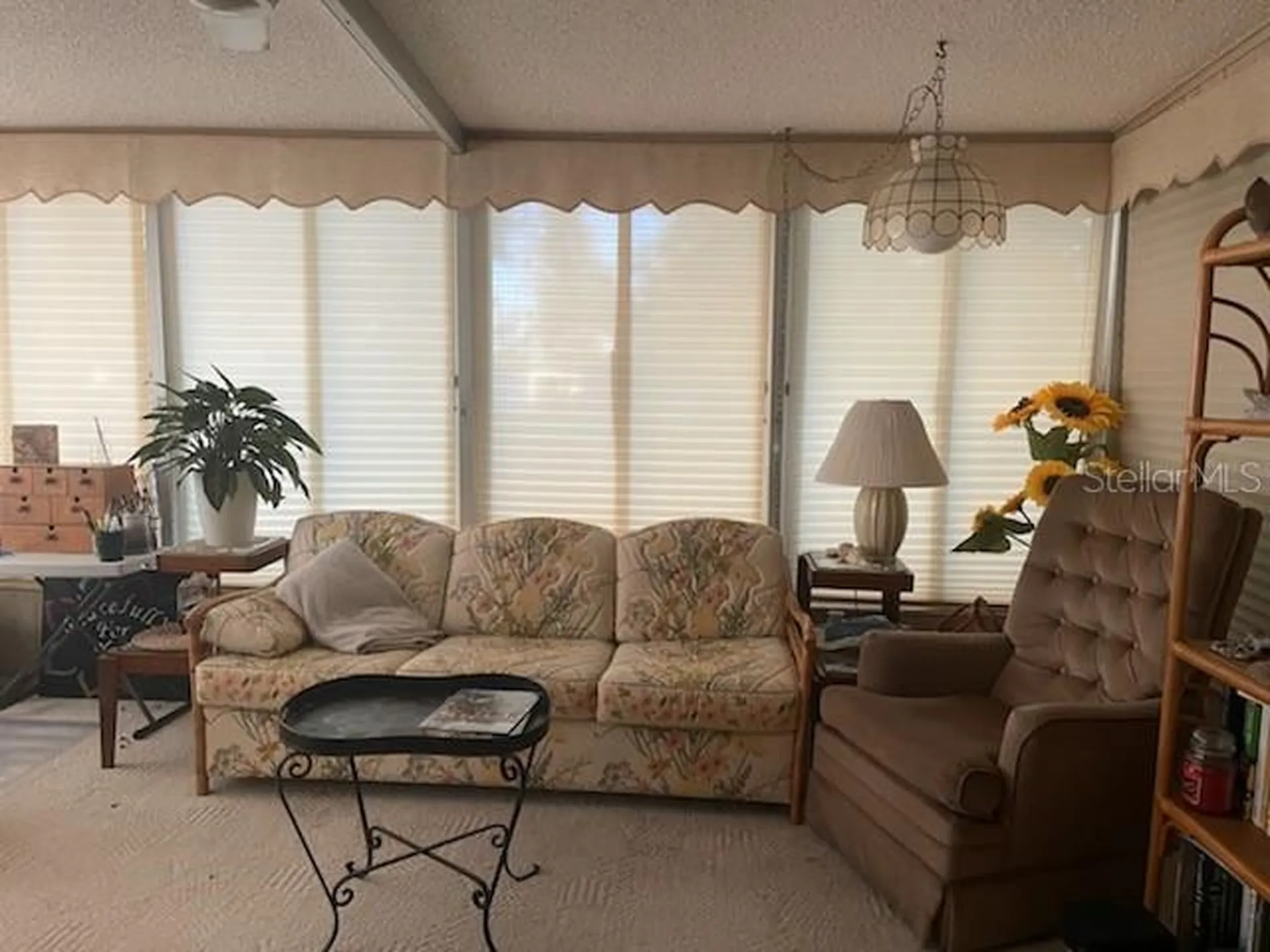 19 Bobcat Trail Wildwood FL 34785