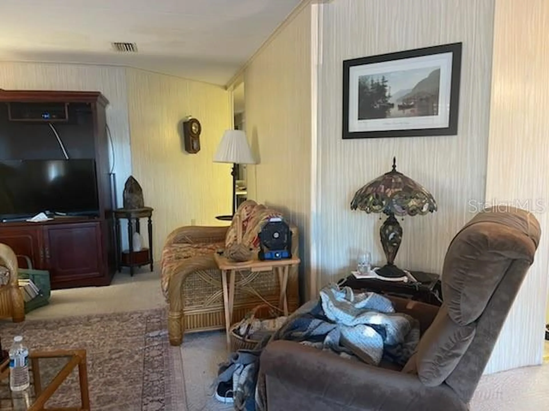 19 Bobcat Trail Wildwood FL 34785