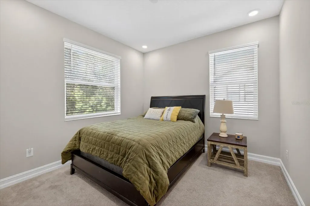 5110 San Martino Drive Wesley Chapel FL 33543