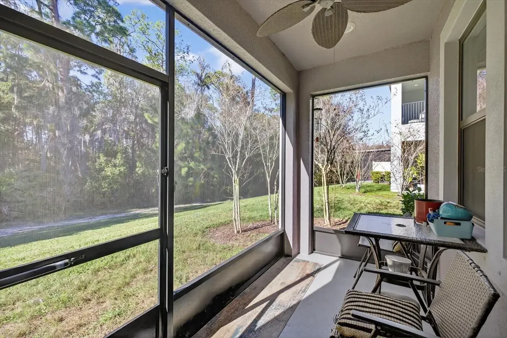 5110 San Martino Drive Wesley Chapel FL 33543
