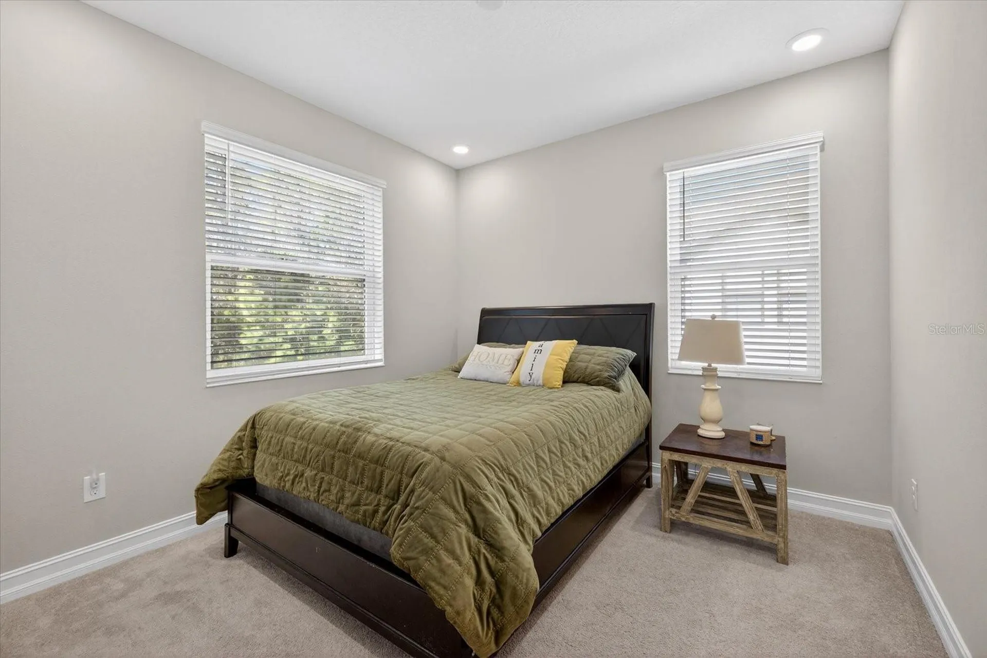 5110 San Martino Drive Wesley Chapel FL 33543