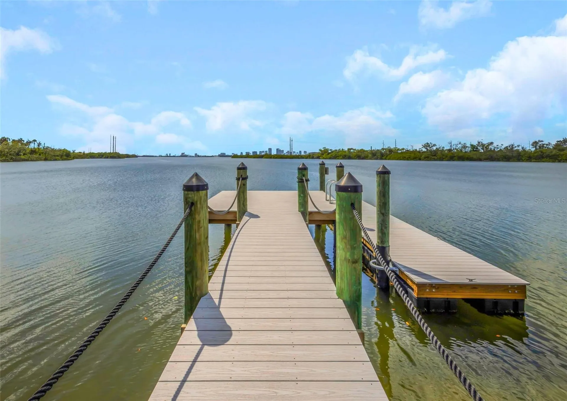 809 Tennyson Mill Circle Tampa FL 33619