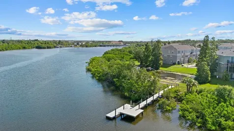809 Tennyson Mill Circle Tampa FL 33619