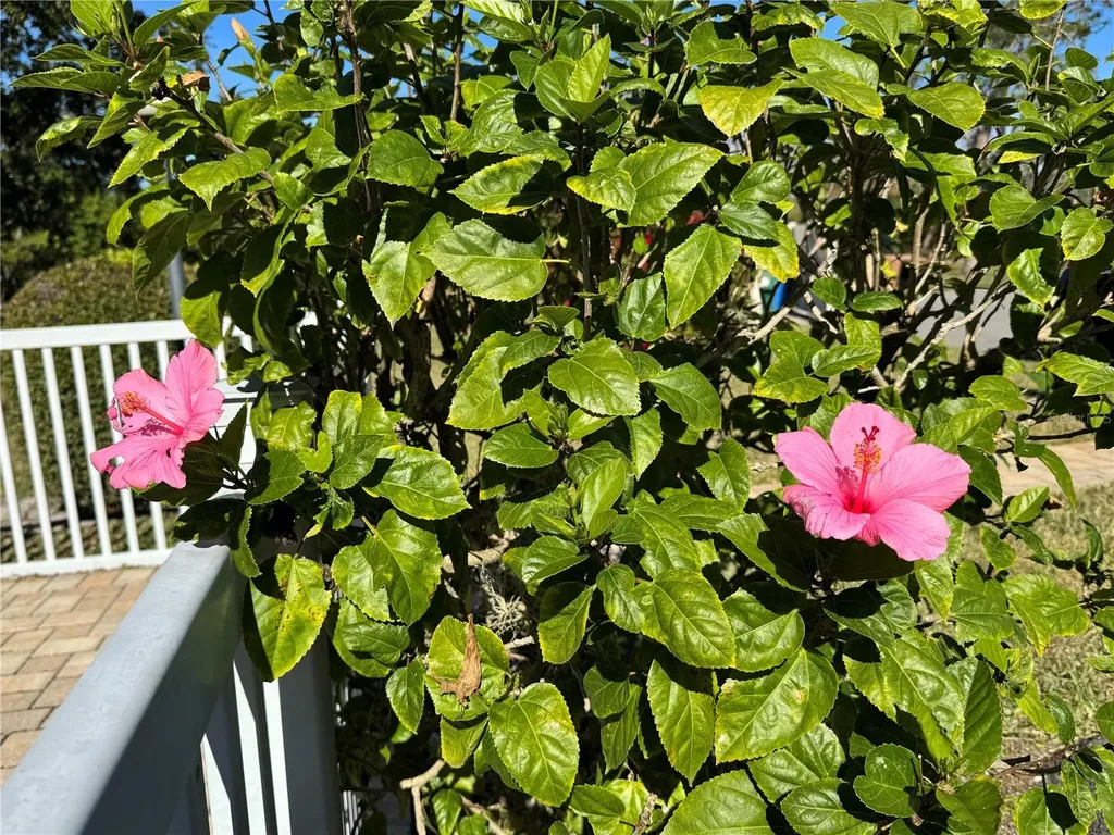 5124 Harpers Croft Sarasota FL 34235