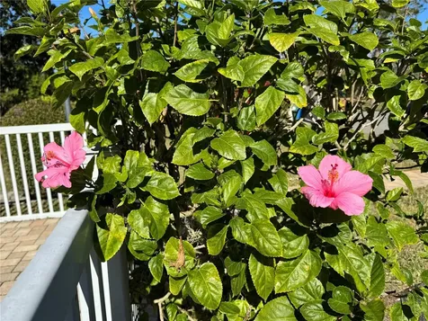 5124 Harpers Croft Sarasota FL 34235