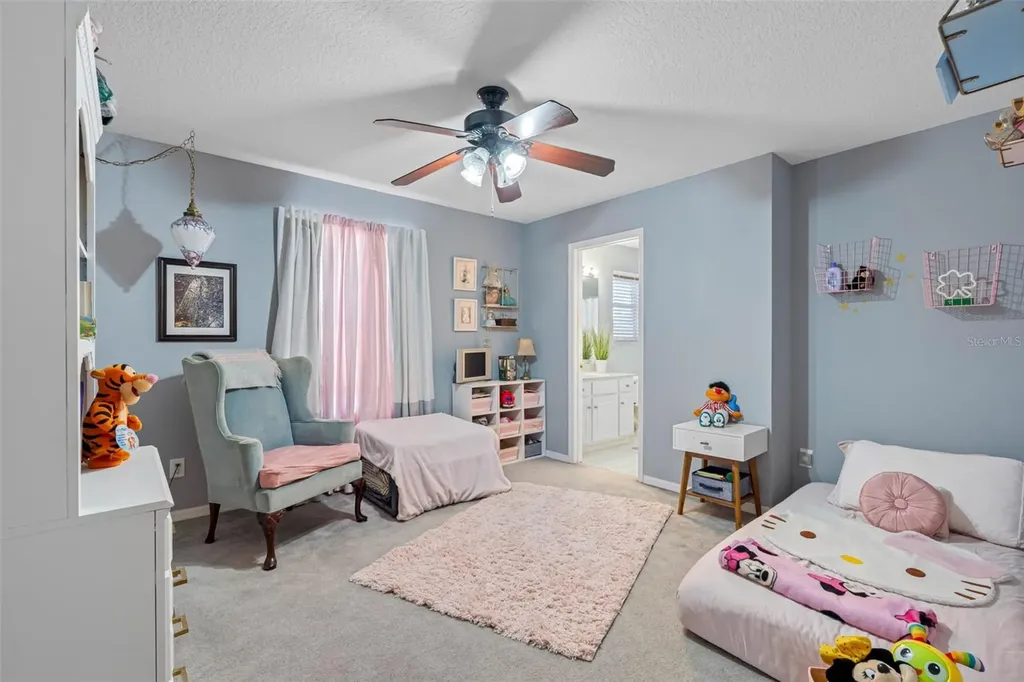10746 Firebrick Court Trinity FL 34655