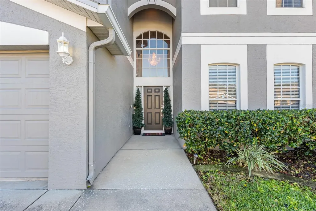 10746 Firebrick Court Trinity FL 34655