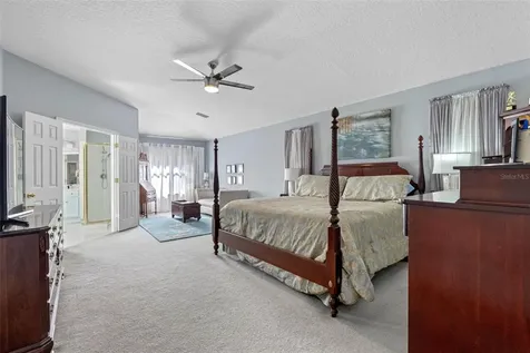 10746 Firebrick Court Trinity FL 34655