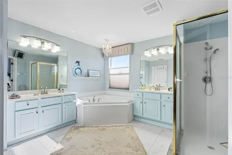 10746 Firebrick Court Trinity FL 34655