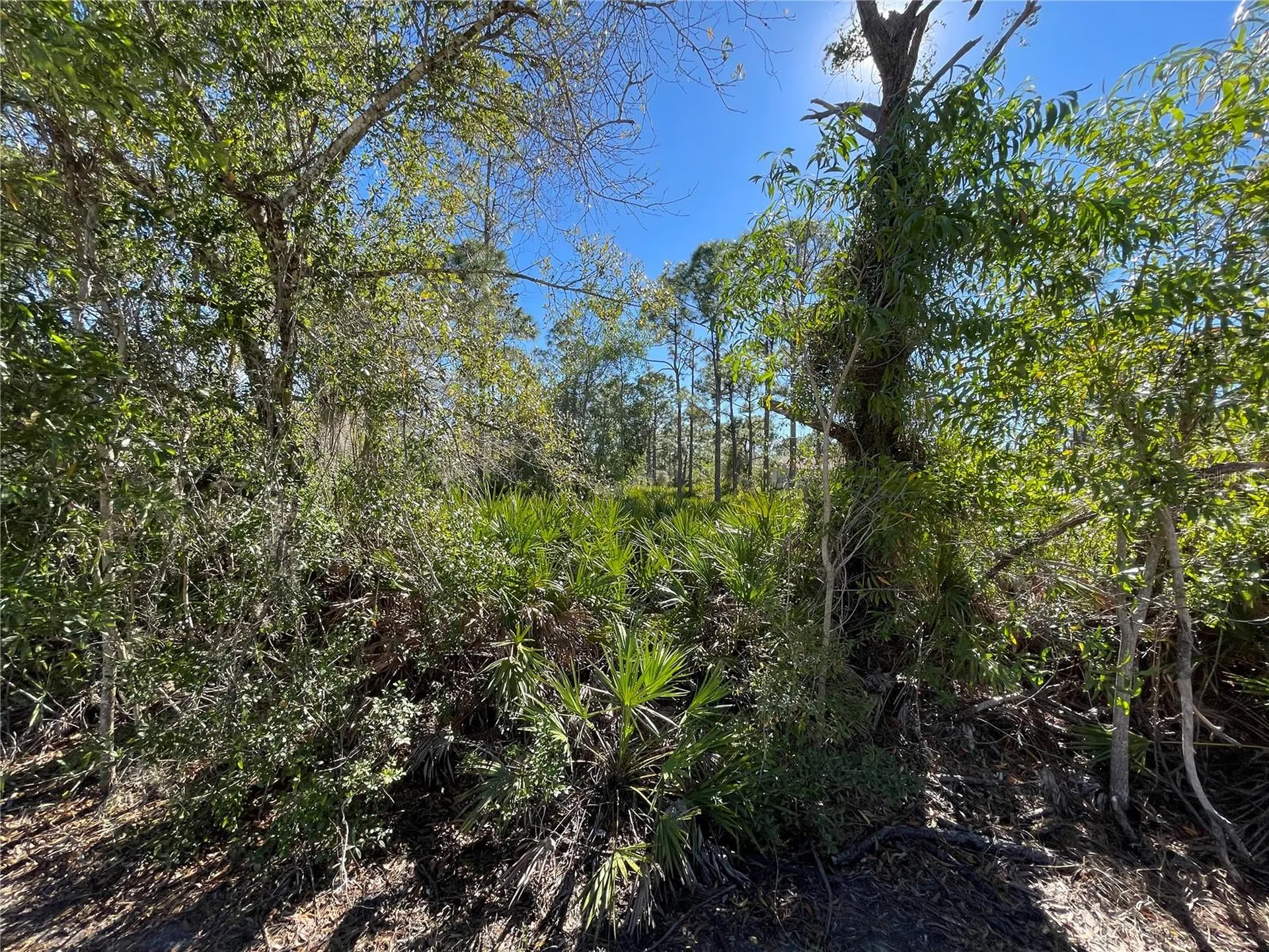 27115 Seeger Drive Punta Gorda FL 33955