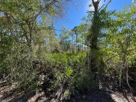 27115 Seeger Drive Punta Gorda FL 33955