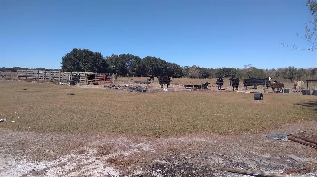 12051 Avon Park Cut Off Road Fort Meade FL 33841