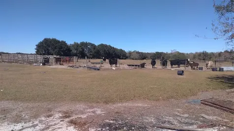 12051 Avon Park Cut Off Road Fort Meade FL 33841