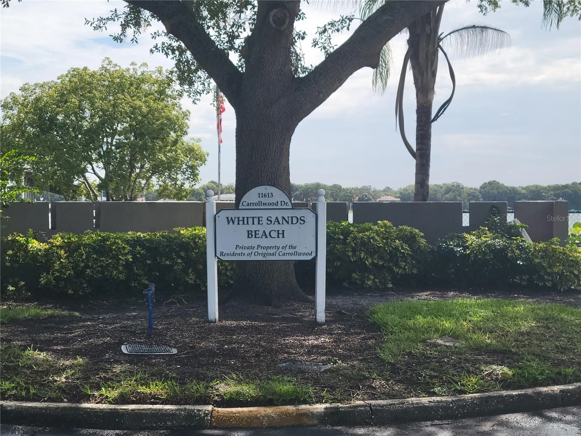 11606 Lipsey Road Tampa FL 33618