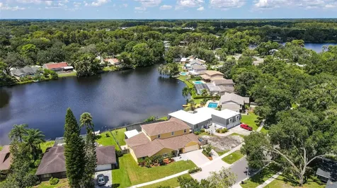 11606 Lipsey Road Tampa FL 33618