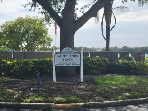 11606 Lipsey Road Tampa FL 33618