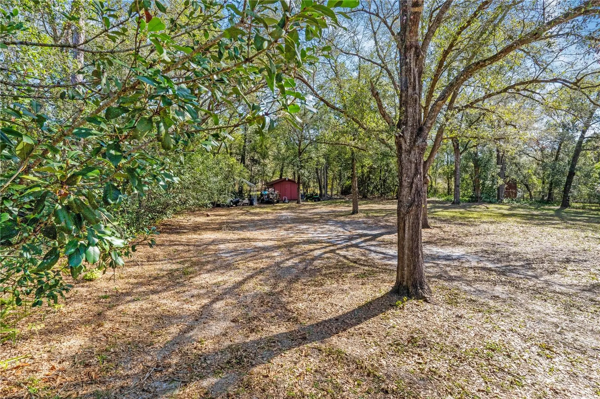 2417 S Oak Park Drive Deland FL 32724