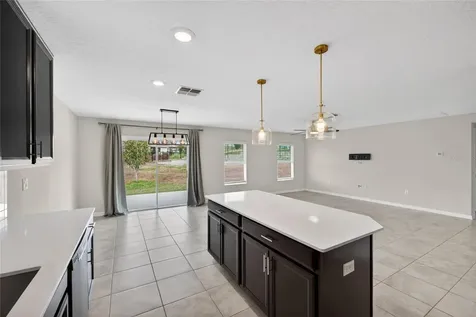4773 Magnetite Loop Mount Dora FL 32757