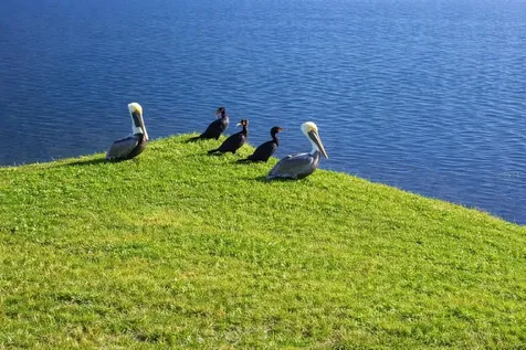 6363 99th Way N St Petersburg FL 33708
