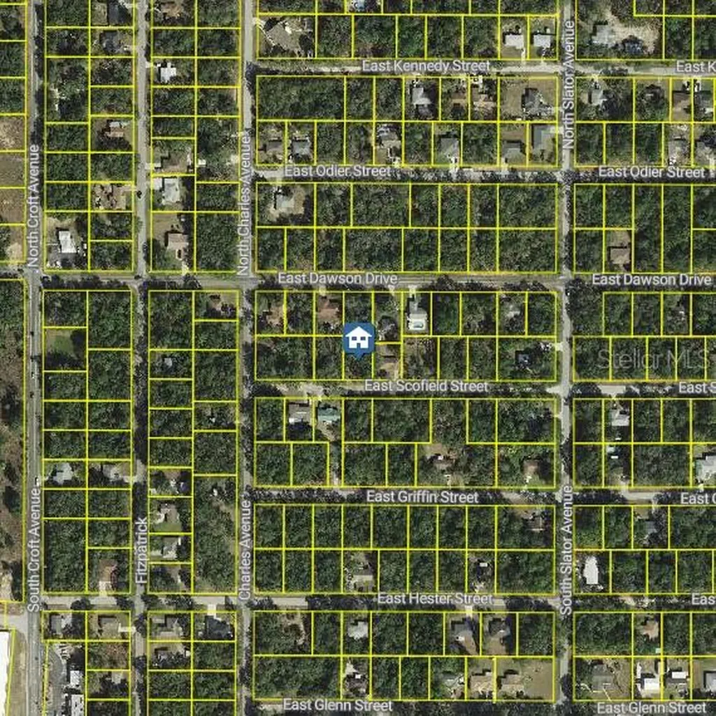 3061 E Scofield Street Inverness FL 34453