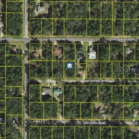 3061 E Scofield Street Inverness FL 34453