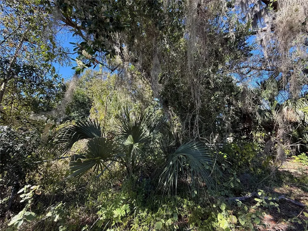 6515 Taylor Court New Port Richey FL 34653