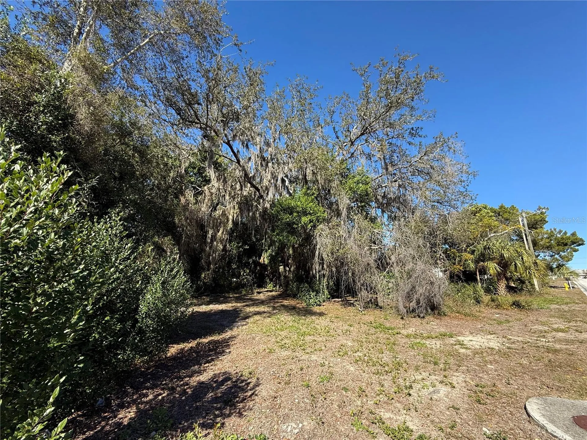 6515 Taylor Court New Port Richey FL 34653
