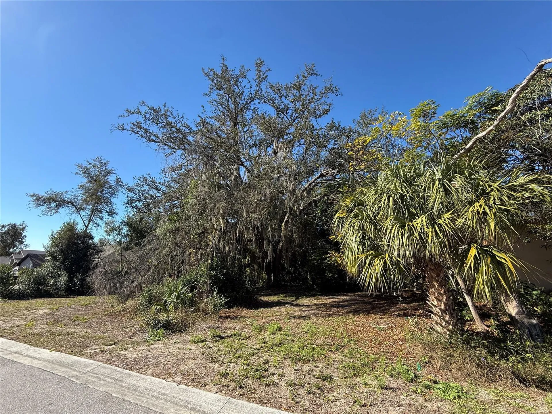 6515 Taylor Court New Port Richey FL 34653